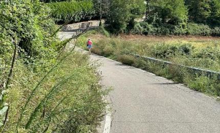 stralci