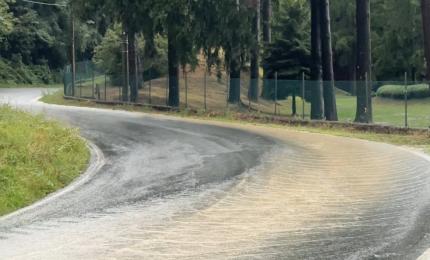 via napoleonica loiano
