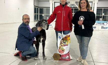 'Demetra' Campionessa europea nella classe veterani