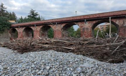 Pianoro Vecchio, una montagna di tronchi blocca parzialmente il fiume