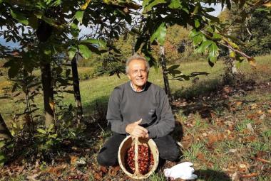 castagne
