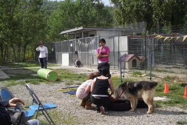 canile savena