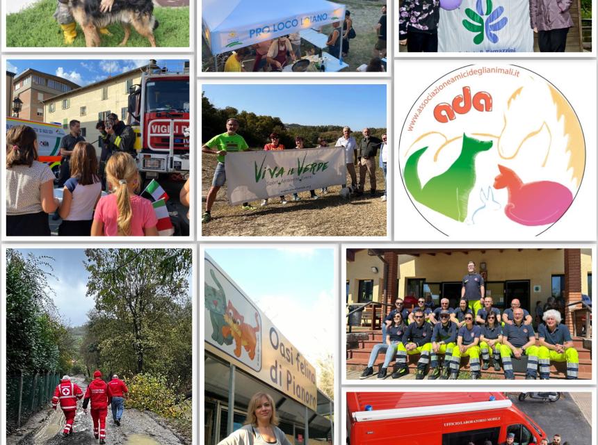 volontariato